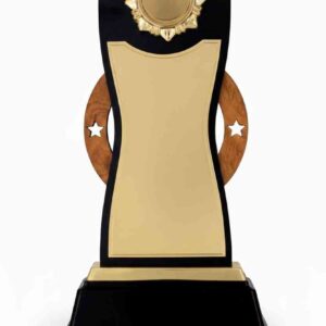 Wooden Memento under 420