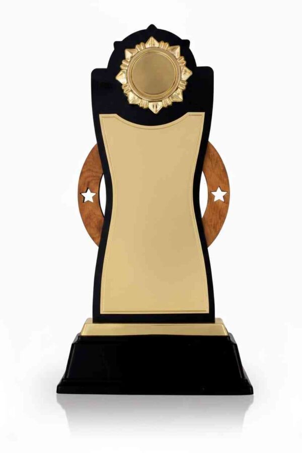 Wooden Memento under 420